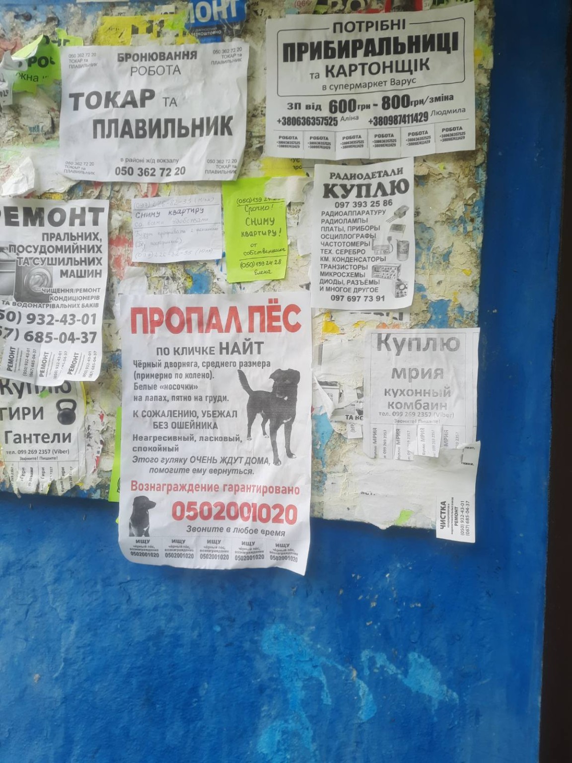 Приклад оголошення Target-Print